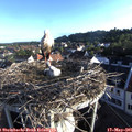 06_50-nest.jpg