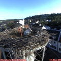 07_00-nest.jpg