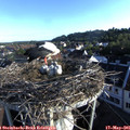 07_05-nest.jpg