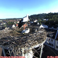 07_10-nest.jpg