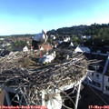 07_15-nest.jpg