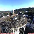 07_20-nest.jpg