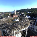 07_25-nest.jpg