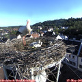 07_30-nest.jpg