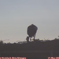 07_35-mast.jpg