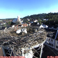 07_35-nest.jpg