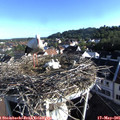 07_40-nest.jpg