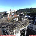 07_45-nest.jpg