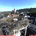 07_50-nest.jpg