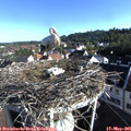 07_55-nest.jpg