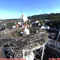 08_00-nest.jpg