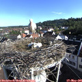 08_05-nest.jpg
