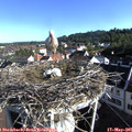 08_10-nest.jpg
