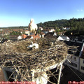 08_15-nest.jpg