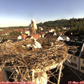 08_20-nest.jpg