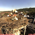08_35-nest.jpg