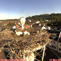 08_40-nest.jpg