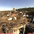08_45-nest.jpg