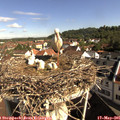 09_20-nest.jpg
