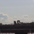 09_25-mast.jpg