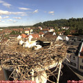 09_25-nest.jpg