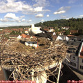 09_40-nest.jpg