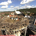 09_55-nest.jpg