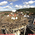 10_00-nest.jpg