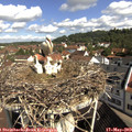 10_05-nest.jpg