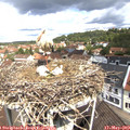 11_15-nest.jpg