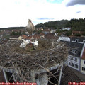 11_25-nest.jpg