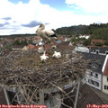 12_25-nest.jpg