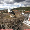14_40-nest.jpg