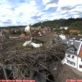 15_10-nest.jpg