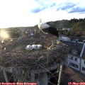 20_00-nest.jpg