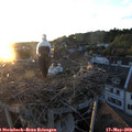 20_40-nest.jpg