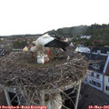 05_45-nest.jpg