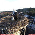 06_10-nest.jpg