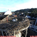 06_25-nest.jpg