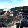 06_45-nest.jpg
