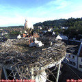 07_00-nest.jpg