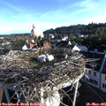 07_05-nest.jpg