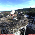 07_10-nest.jpg