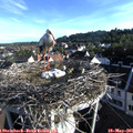 07_15-nest.jpg