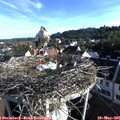 07_20-nest.jpg
