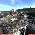 07_30-nest.jpg