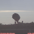 07_55-mast.jpg