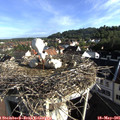 07_55-nest.jpg