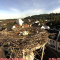 08_05-nest.jpg