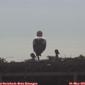 08_40-mast.jpg